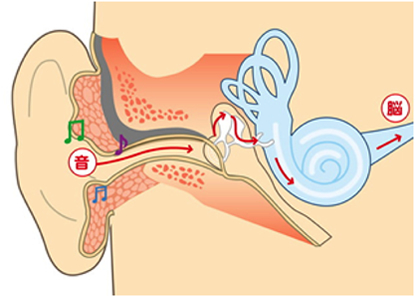 難聴・耳鳴り、補聴器外来
